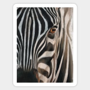 for all zebra lovers Magnet